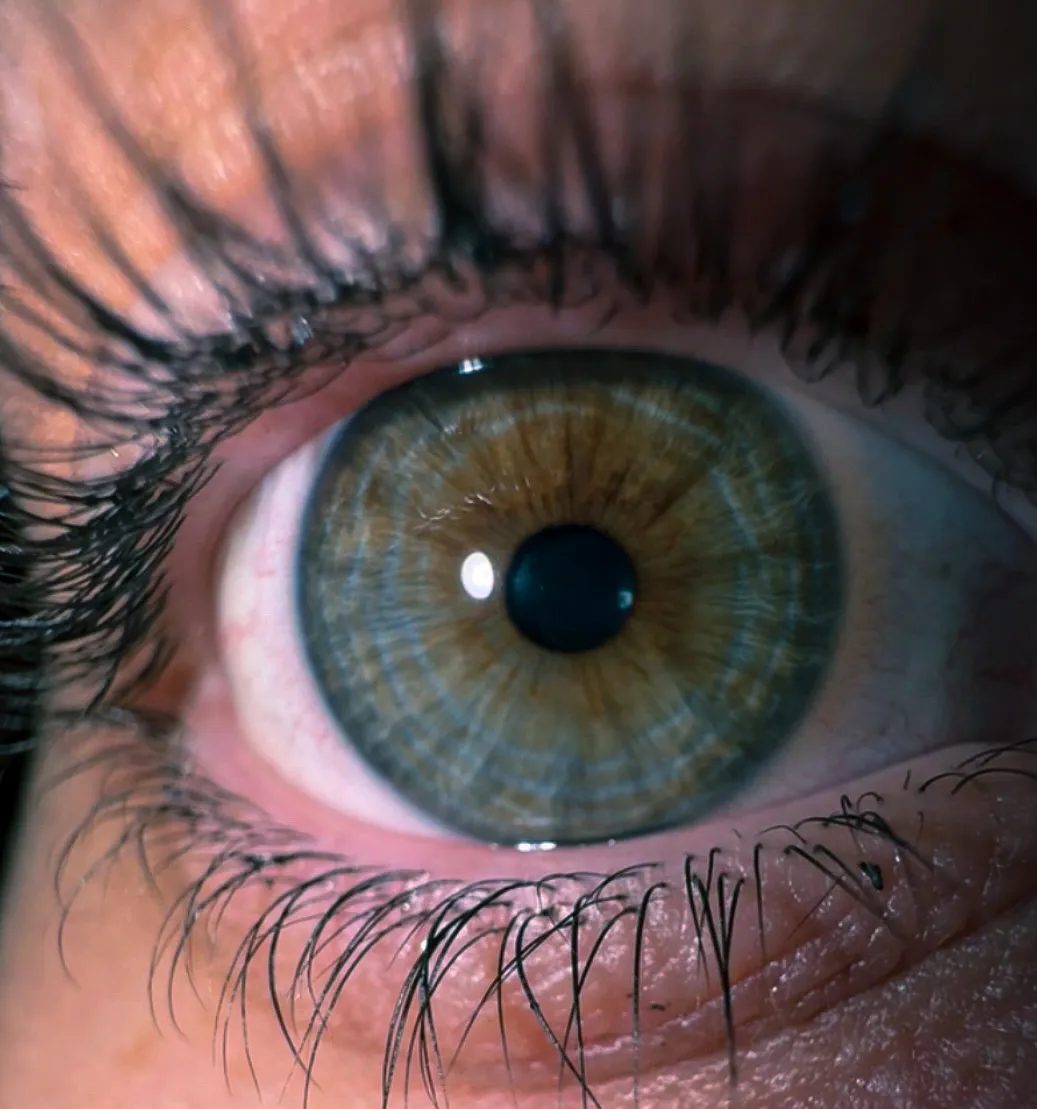 Extreme macro of a human eye showing hazel green iris detail and a clean catchlight