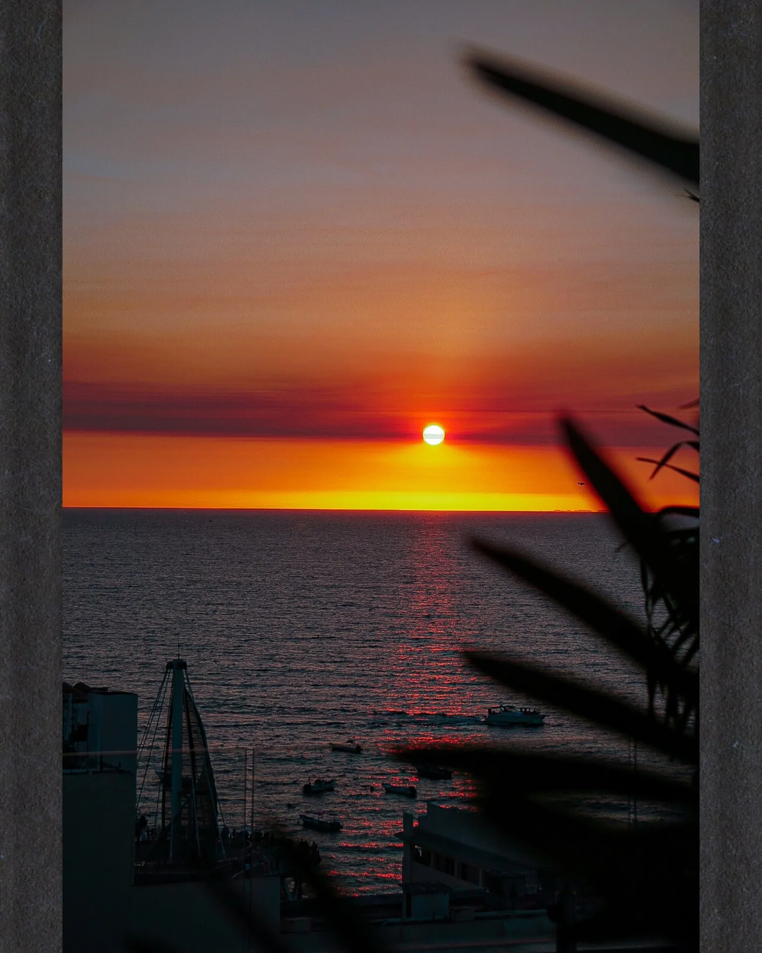 A fiery sunset over a harbor with small boats, framed by dark palm fronds